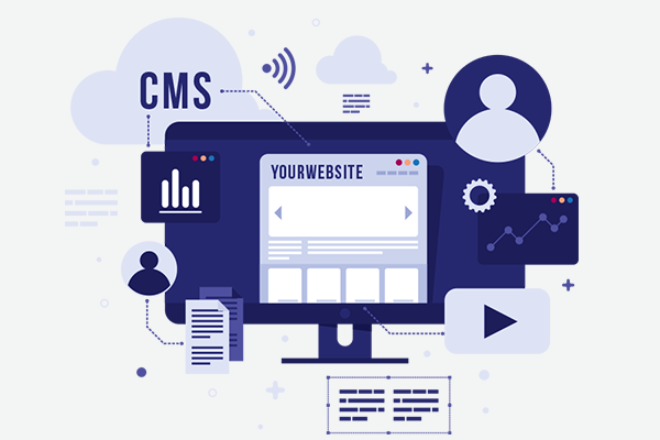 Website Design & Development